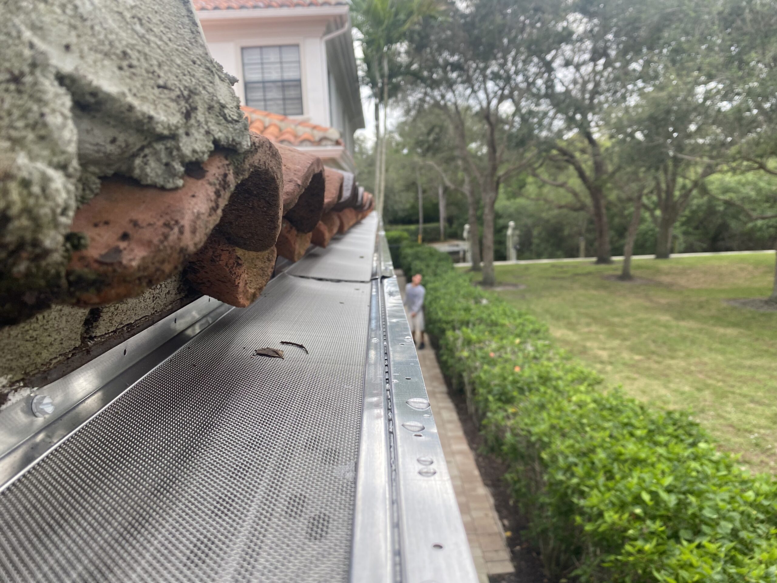 Gutter Hawk gutter project