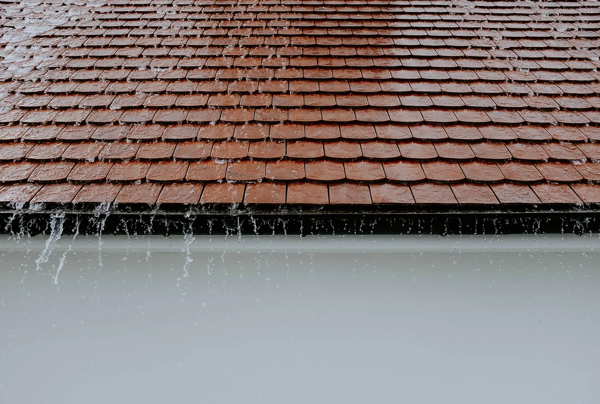 Color and Material Options For Seamless Gutters to Match Home Exteriors